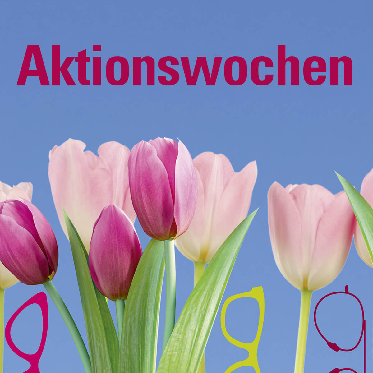 Aktionswochen im Sehhaus Rain